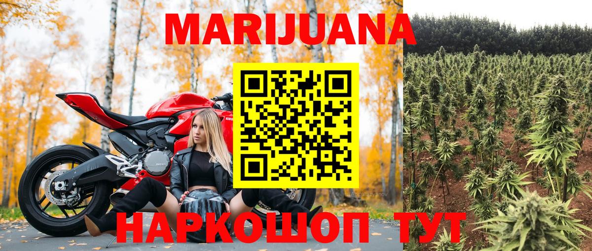 Шишки марихуана сатива Большой Камень